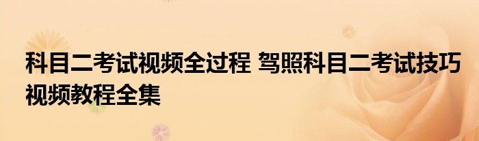 科目二考试视频全过程 驾照科目二考试技巧视频教程全集