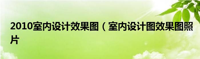 2010室内设计效果图（室内设计图效果图照片