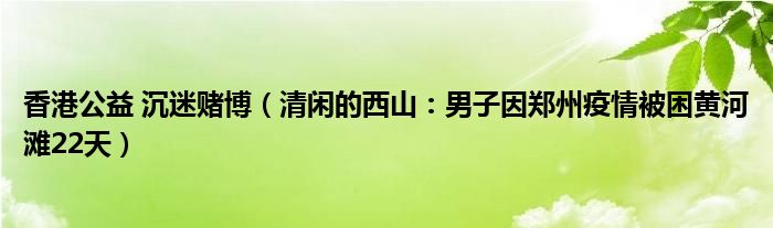 香港公益 沉迷赌博（清闲的西山：男子因郑州疫情被困黄河滩22天）