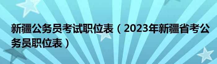 新疆公务员考试职位表（2023年新疆省考公务员职位表）