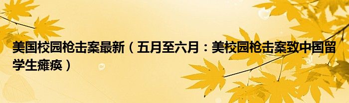 美国校园枪击案最新（五月至六月：美校园枪击案致中国留学生瘫痪）