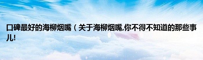 口碑最好的海柳烟嘴（关于海柳烟嘴,你不得不知道的那些事儿!