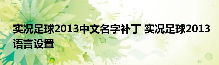 实况足球2013中文名字补丁 实况足球2013语言设置