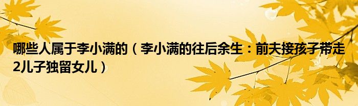 哪些人属于李小满的（李小满的往后余生：前夫接孩子带走2儿子独留女儿）