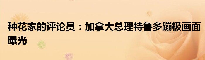 种花家的评论员：加拿大总理特鲁多蹦极画面曝光