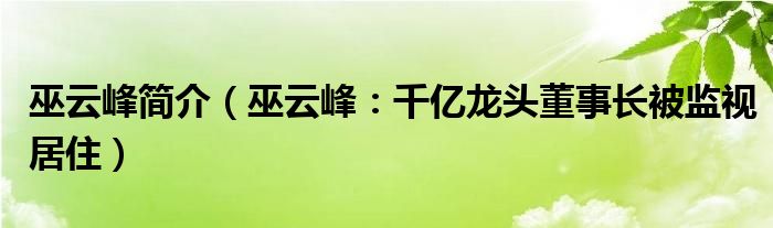 巫云峰简介（巫云峰：千亿龙头董事长被监视居住）