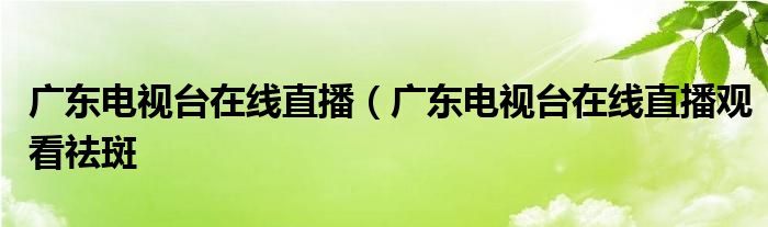 广东电视台在线直播（广东电视台在线直播观看祛斑