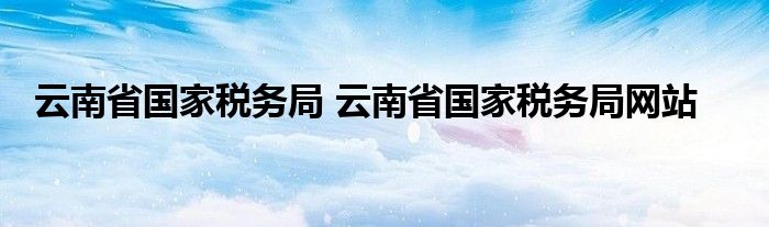 云南省国家税务局 云南省国家税务局网站