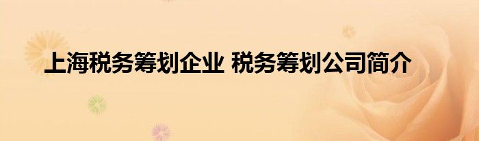 上海税务筹划企业 税务筹划公司简介