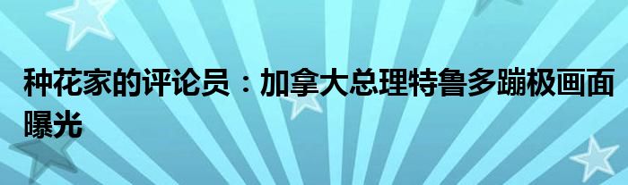 种花家的评论员：加拿大总理特鲁多蹦极画面曝光