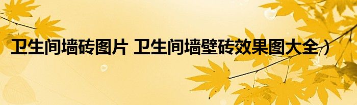 卫生间墙砖图片 卫生间墙壁砖效果图大全）
