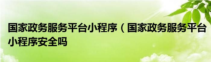 国家政务服务平台小程序（国家政务服务平台小程序安全吗