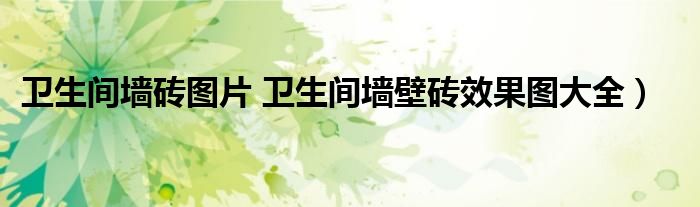 卫生间墙砖图片 卫生间墙壁砖效果图大全）