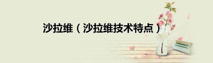沙拉维（沙拉维技术特点）
