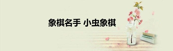 象棋名手 小虫象棋