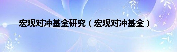 宏观对冲基金研究（宏观对冲基金）