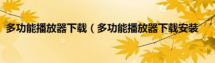 多功能播放器下载（多功能播放器下载安装