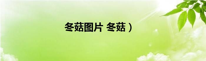 冬菇图片 冬菇）
