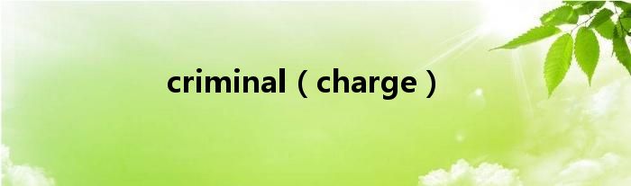 criminal（charge）