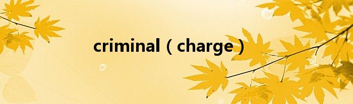 criminal（charge）