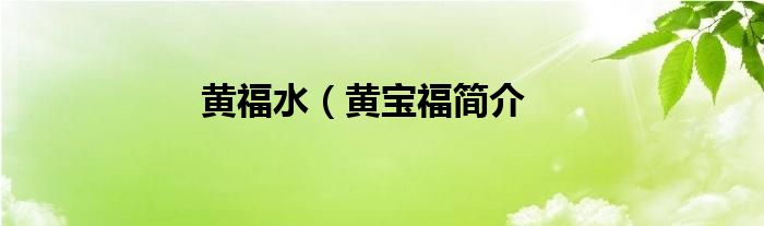 黄福水（黄宝福简介