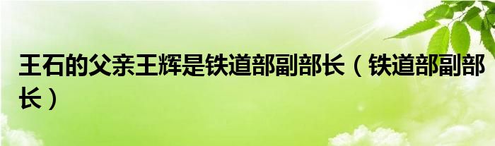 王石的父亲王辉是铁道部副部长（铁道部副部长）