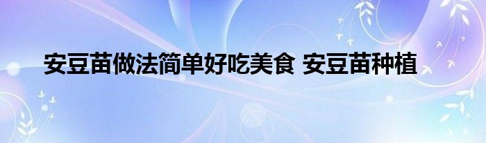 安豆苗做法简单好吃美食 安豆苗种植