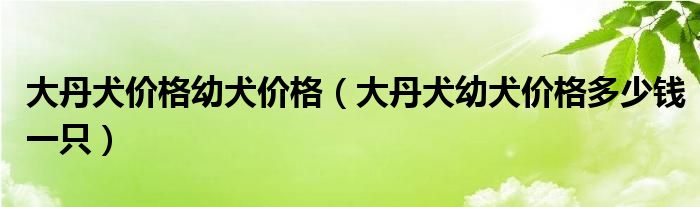 大丹犬价格幼犬价格（大丹犬幼犬价格多少钱一只）