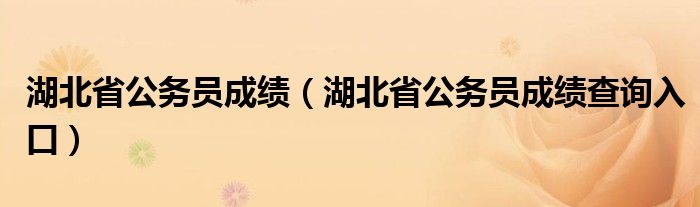 湖北省公务员成绩（湖北省公务员成绩查询入口）