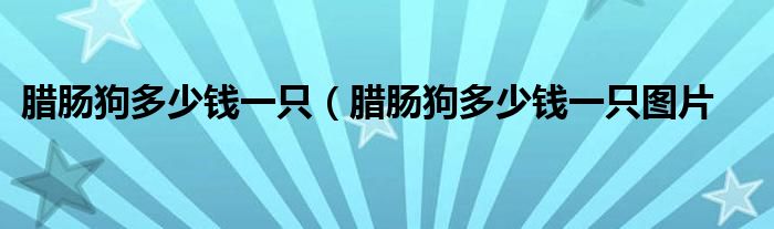 腊肠狗多少钱一只（腊肠狗多少钱一只图片