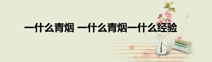 一什么青烟 一什么青烟一什么经验