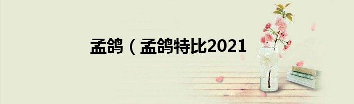 孟鸽（孟鸽特比2021