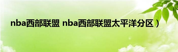 nba西部联盟 nba西部联盟太平洋分区）