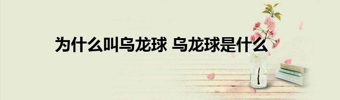 为什么叫乌龙球 乌龙球是什么