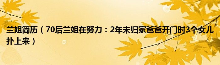 兰姐简历（70后兰姐在努力：2年未归家爸爸开门时3个女儿扑上来）