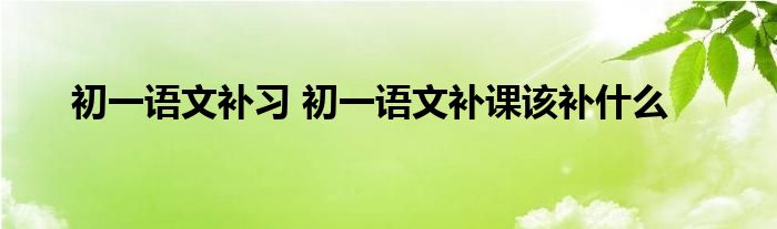 初一语文补习 初一语文补课该补什么