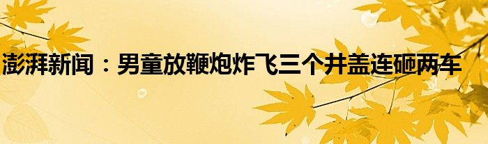 澎湃新闻：男童放鞭炮炸飞三个井盖连砸两车