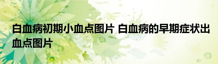 白血病初期小血点图片 白血病的早期症状出血点图片