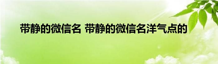 带静的微信名 带静的微信名洋气点的