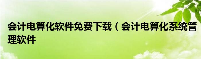 会计电算化软件免费下载（会计电算化系统管理软件