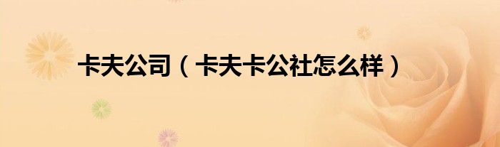 卡夫公司（卡夫卡公社怎么样）