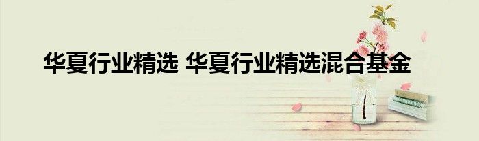 华夏行业精选 华夏行业精选混合基金