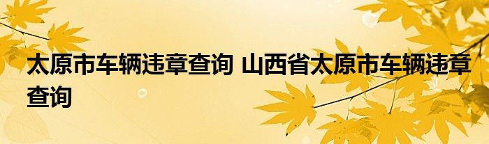 太原市车辆违章查询 山西省太原市车辆违章查询