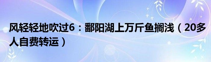 风轻轻地吹过6：鄱阳湖上万斤鱼搁浅（20多人自费转运）
