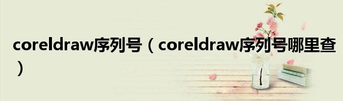 coreldraw序列号（coreldraw序列号哪里查）