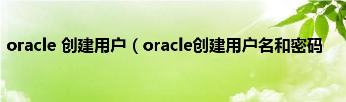 oracle 创建用户（oracle创建用户名和密码