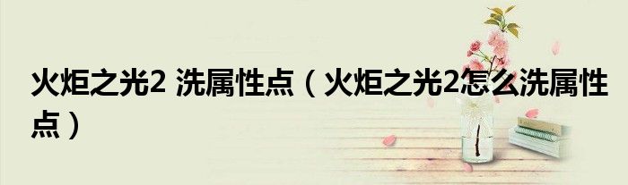 火炬之光2 洗属性点（火炬之光2怎么洗属性点）