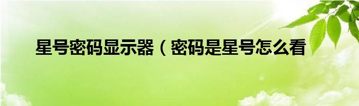 星号密码显示器（密码是星号怎么看