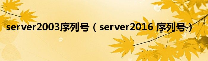 server2003序列号（server2016 序列号）