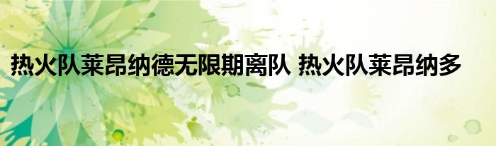 热火队莱昂纳德无限期离队 热火队莱昂纳多